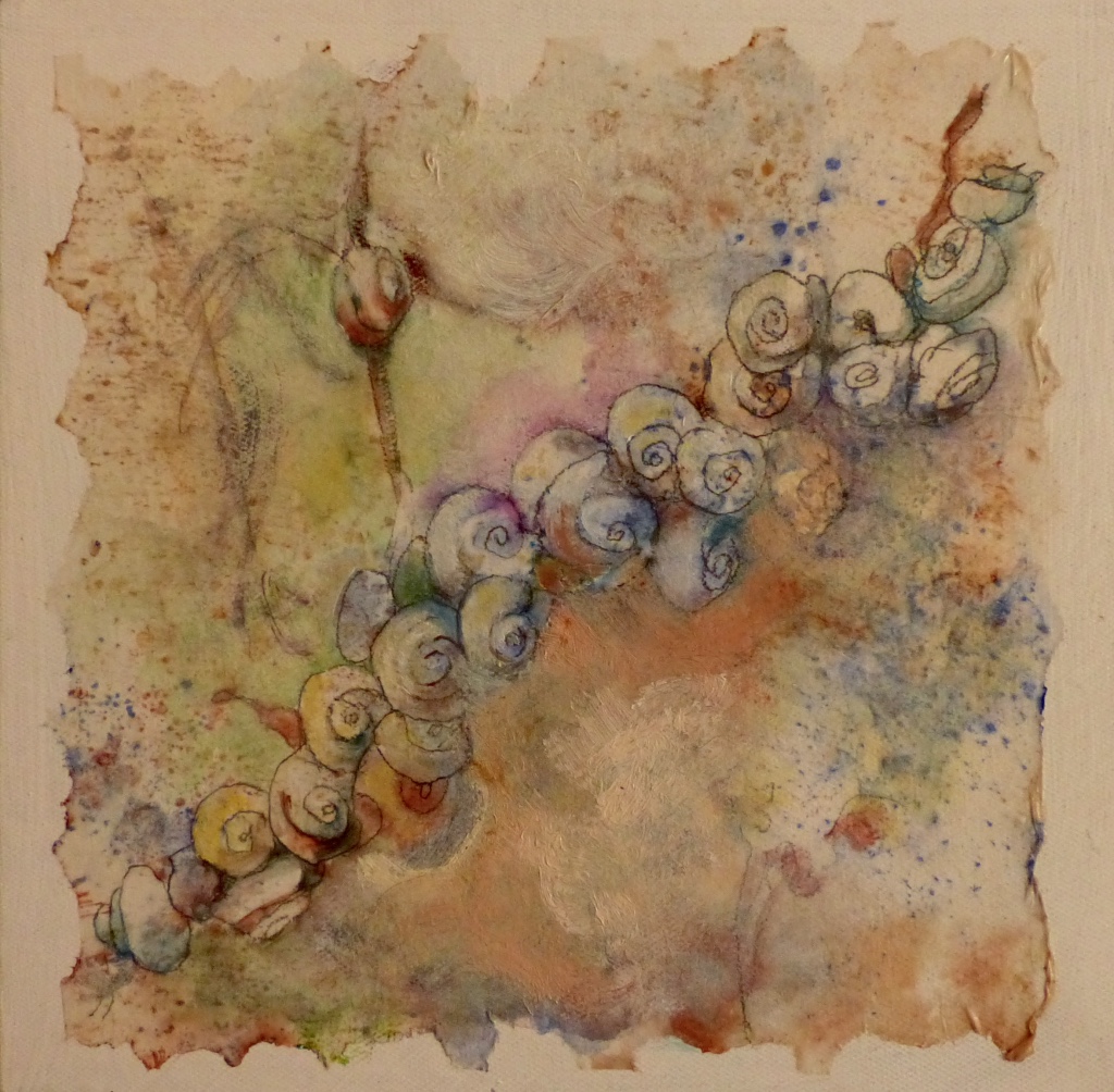 Escargots de Provence